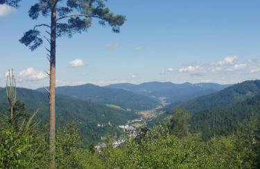Ferienhaus Auszeit mit Terrasse - Photo 9