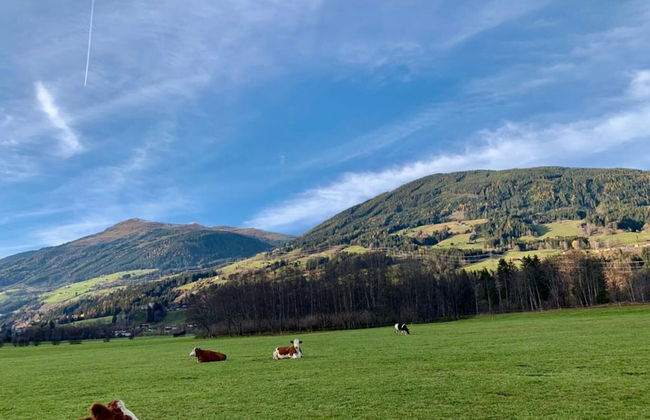 Chalet in Sulzau Near Wildkogel Ski Arena - Foto 28