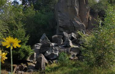 Ferienhaus Waldblick - Photo 58