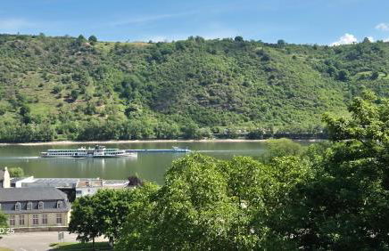 RHEIN-WALD Exklusives Apartment mit Rheinblick - Foto 12