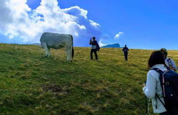 Casa Pirinea Ordesa - Foto 17