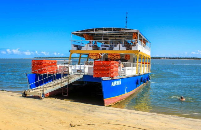 Excursión a la desembocadura del río San Francisco - Foto 5