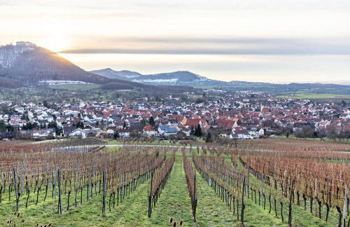 Studti 134 - Foto 18