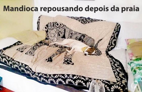 Casa na praia de Setiba com panorama fantástico - Foto 19