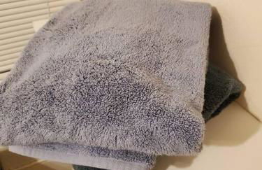 Tech, Travelling Nurse, UW, Seattle Lake Union, SU - Foto 10