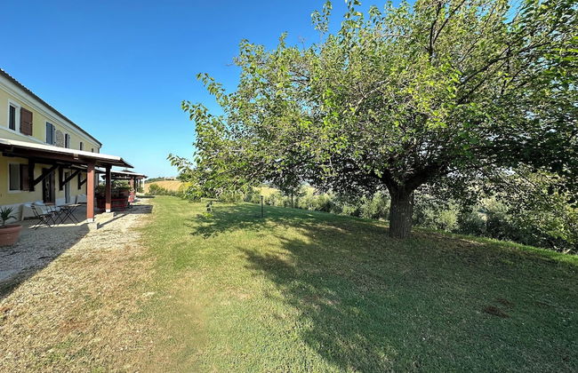 Ancient Country House With Swimming Pool - Foto 33