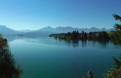 Das Feriennest - Foto 23