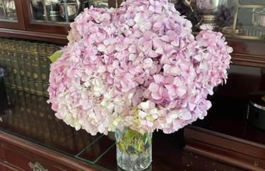 Limefield Mansion House - Foto 37