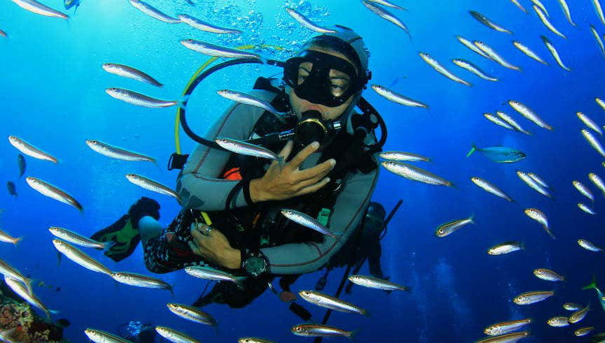 Panama City Scuba Diving - Foto 1