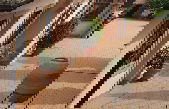 Azienda Agricola Sinisi - Foto 30