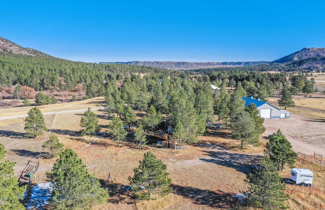 Tree Deer Blind - Foto 30