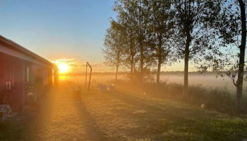 Agriturismo Ca' Pisani - Foto 3