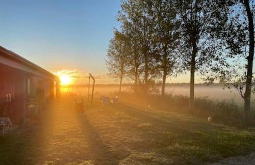 Agriturismo Ca' Pisani - Foto 3