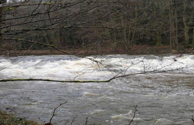 Apartment in Heinrichskirchen - Foto 34