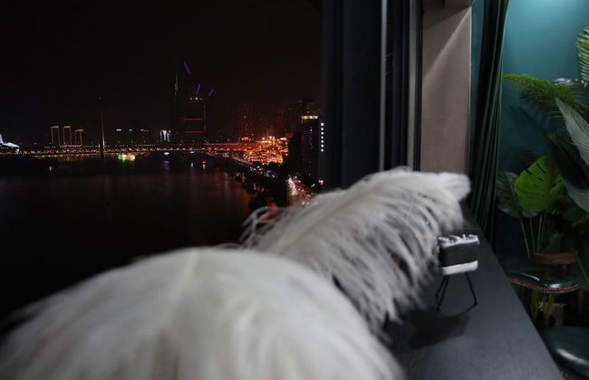 Qing Apartment Chungking Express - Foto 49