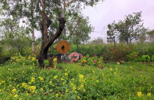 Casa El Sitio - Foto 33