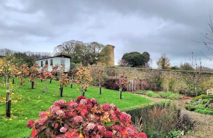 Plank Bridge Shepherds Hut in Orchard - Peaceful Escape for Two - Foto 22