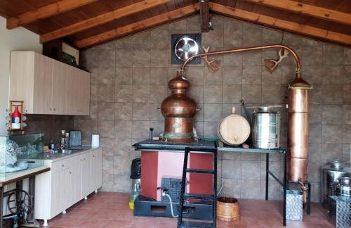 Pallas Casa - Photo 35