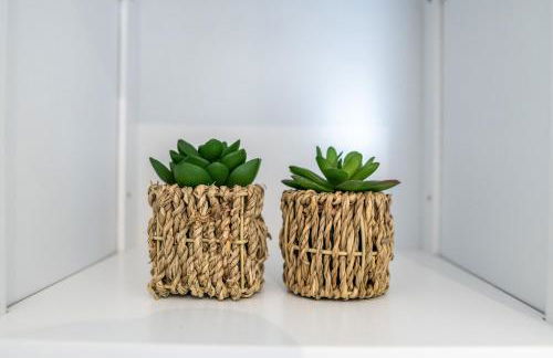 Everman Anzin - Foto 52