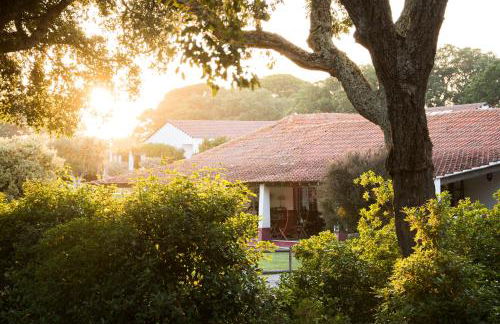 Herdade das Barradas da Serra - Foto 13