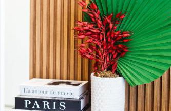 Lille Cambui Studios Luxo by Robert Stays - Foto 69