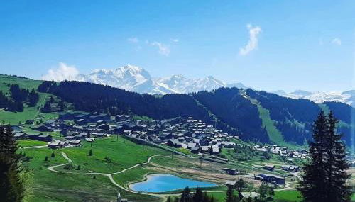 APPARTEMENT PLEIN SUD AUX SAISIES n3 - Foto 2