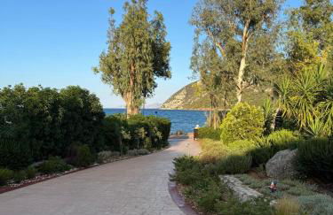 Aeolos beachfront family residence - Foto 5