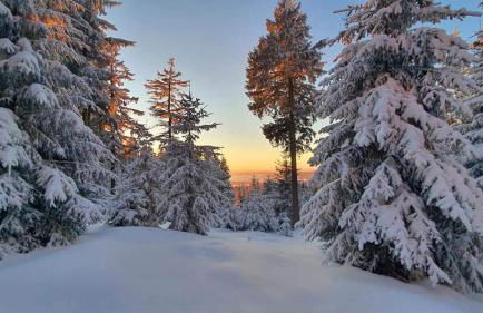 Bungalow Schwarzatalblick in Bad Blankenburg Ortsteil Böhlscheiben - Foto 14