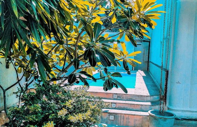 Villa White Dome - Photo 10