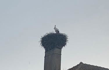 Spacieux 120 metres carré tout confort - Foto 21