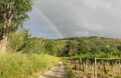 La nostra Casetta - Foto 37