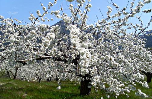 Casas Rurales Cortijos el Encinar - Foto 34