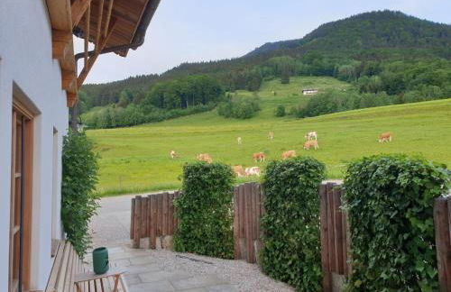 Alm-Chalets-Samerberg - Foto 62