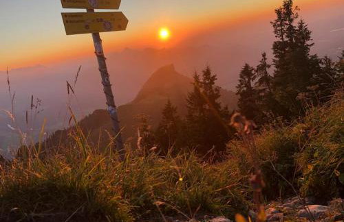 Schauerhof - Photo 16