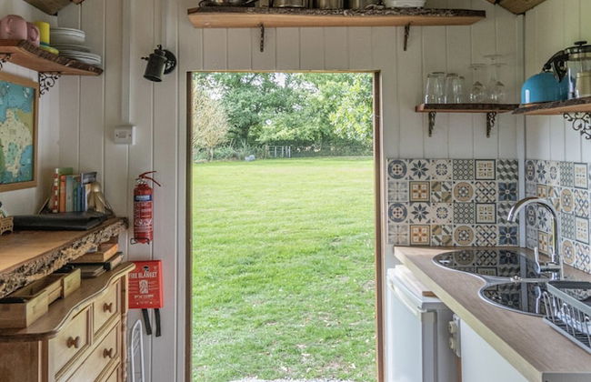 Dartmoor Reach Alpaca Farm - Foto 6