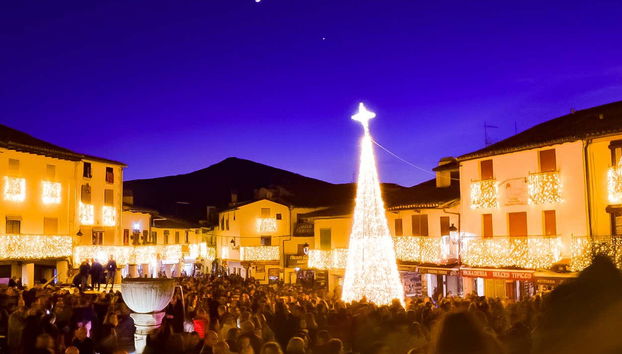 Tour navideño por Guadalupe - Foto 5, Árbol de Navidad de luces