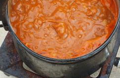 Apartments Stojanović - Foto 10