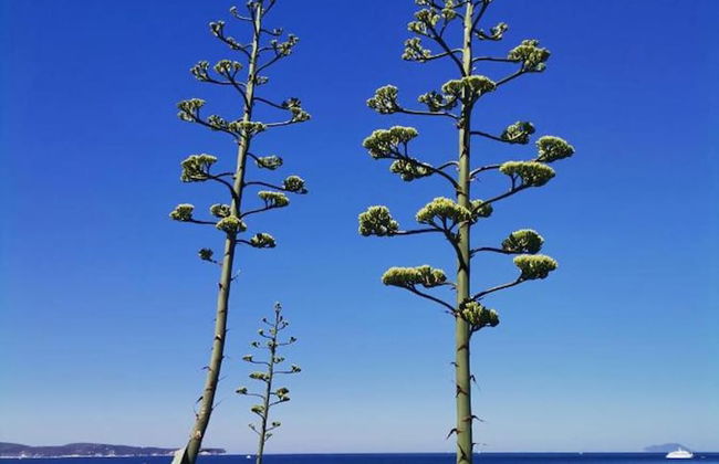 Apartment for a Single Person - Foto 5