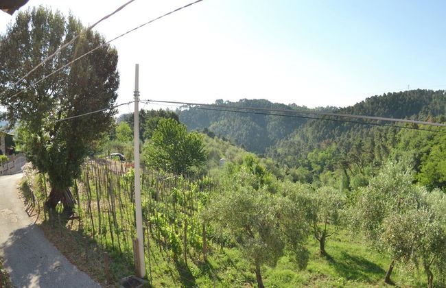 Casale on the Hills Between Lucca and the Sea, With Garden and Swimming Pool - Photo 1