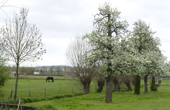 Flat in Water Mill 10 km From Maastricht - Photo 52