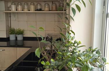 Piso Iwvaxi, gallery house. Ourense. - Foto 12