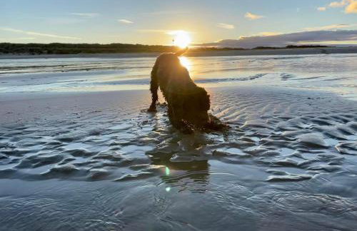 141 -Two bed Chalet on Sunbeach Holiday Park - Sleeps 6, pet friendly, FREE pool and entertainment passes included - plus WiFi with bedding and towels included - only 300m from the beach! - Foto 23