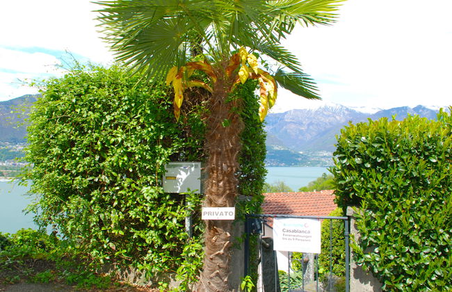 Casablanca OG - Foto 39