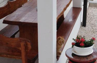 Holiday Home Magdalena - Photo 10