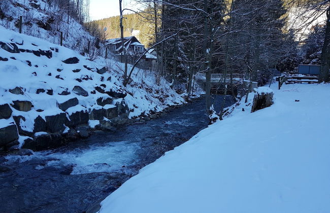 Adorable Aparment in Wildemann With Parking - Foto 62