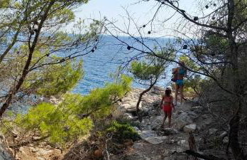 Marijana - One bedroom with balcony - Foto 13