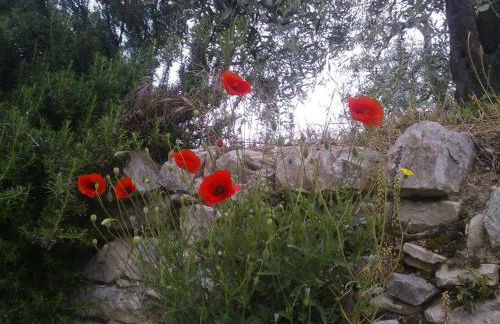 Il Palagetto - Photo 46