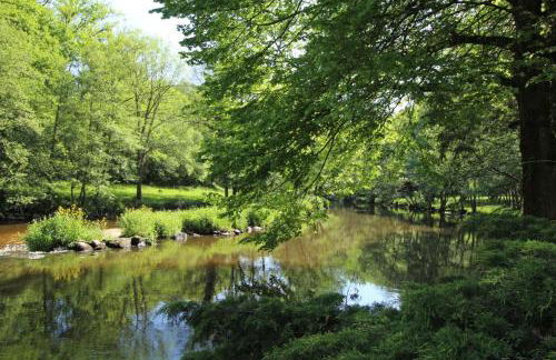 Trois anes et un moulin - Foto 7