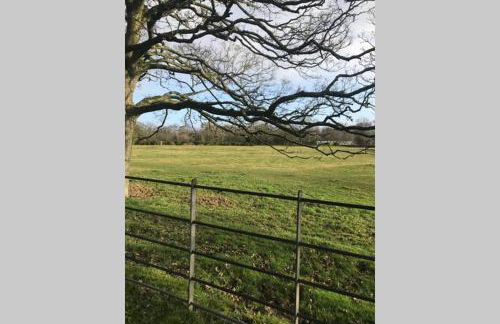 Kezbah 1, 22 the square centre of Dalston village - Photo 37