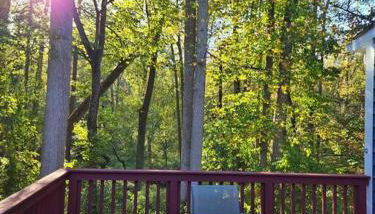 Charming Retreat at Silver Spring - Photo 4, Garden